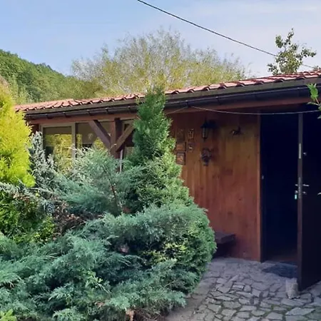 Eden * Sędziszowa