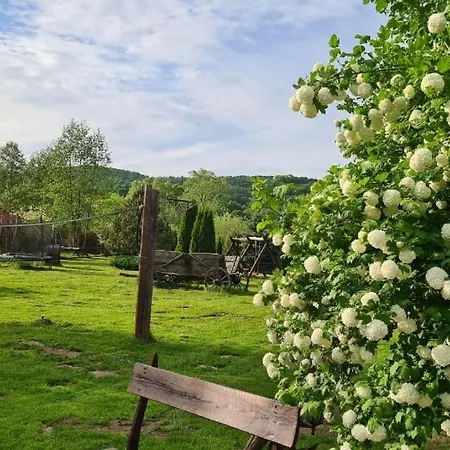 Eden *