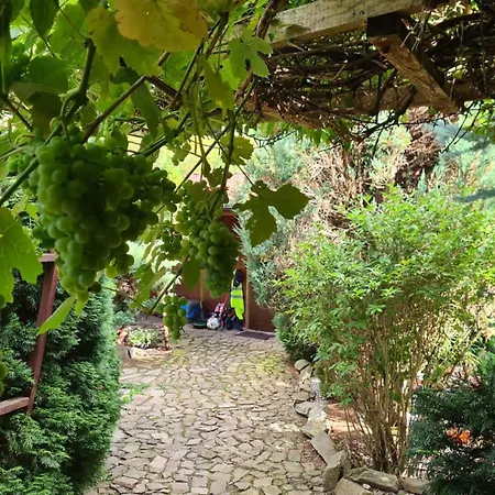 Eden בית חווה Sedziszowa