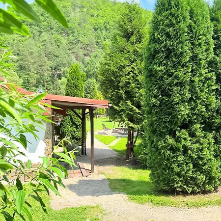 Eden * Sedziszowa